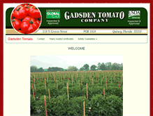 Tablet Screenshot of gadsdentomato.com